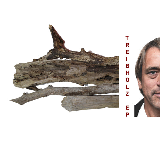 MARTIN KREMMING - Treibholz EP (Vinyl)